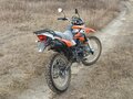 2023 Racer Panther, оранжевый, 150000 рублей - вид 4