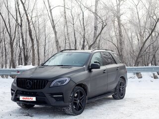 2013 Mercedes-Benz M-Класс 350 III (W166), чёрный, 2900000 рублей, вид 5