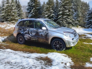 2004 Toyota RAV4 II (XA20) Рестайлинг, серебристый, 950000 рублей, вид 1