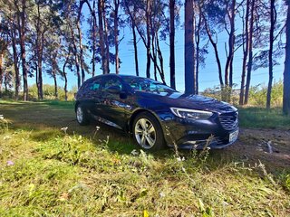 2019 Opel Insignia II, синий, 1600000 рублей, вид 3