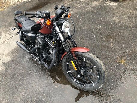 2017 Harley-Davidson Sportster 883, коричневый, 800000 рублей, вид 4