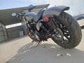 2019 Harley-Davidson Sportster 883, серый - вид 4