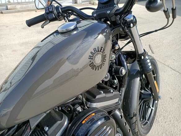 2019 Harley-Davidson Sportster 883, серый - вид 5