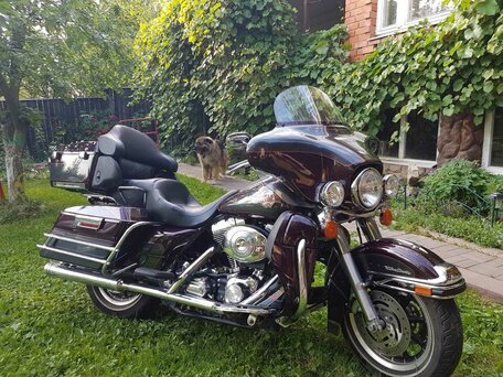 2004 Harley-Davidson Electra Glide, оранжевый, 900000 рублей, вид 1