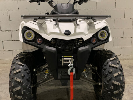 2021 Motoland ATV 200 Shark, белый, 236800 рублей, вид 4