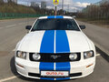 2005 Ford Mustang V, белый - вид 1