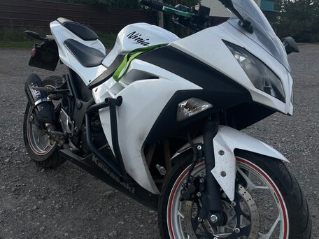 2017 Kawasaki 350, белый, 390000 рублей, вид 2