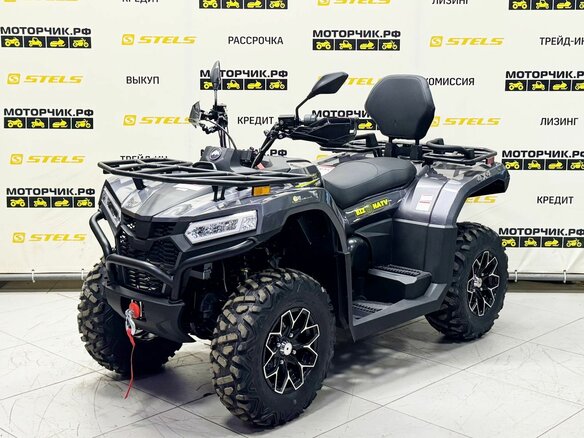2026 Bizon YK450L EPS, серый