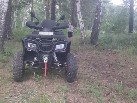 2024 Другие ATV (другие), зелёный, 275000 рублей, вид 2