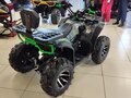 2024 Motax Grizlik 200, зелёный, 200000 рублей - вид 2