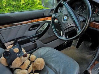1999 BMW 5 серии 530d IV (E39), серебристый, 890000 рублей, вид 3