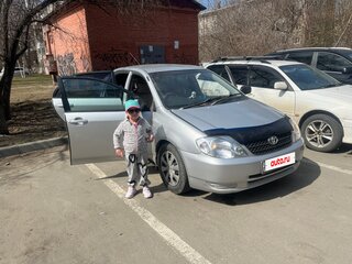 2001 Toyota Corolla IX (E120, E130), серебристый, 460000 рублей, вид 3