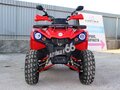 2021 Другие ATV (другие), красный - вид 2
