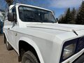 1991 Aro 24, белый - вид 3