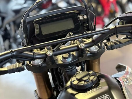 2025 Honda CRF 300L, серый, 891000 рублей, вид 4