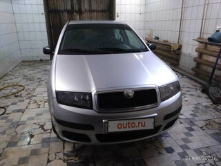 2006 Skoda Fabia I Рестайлинг, серебристый, 510000 рублей, вид 1