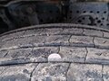2016 Mercedes-Benz Actros, белый, 10500000 рублей - вид 4