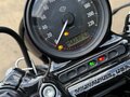 2020 Harley-Davidson Sportster 1200, серый, 1900000 рублей - вид 5