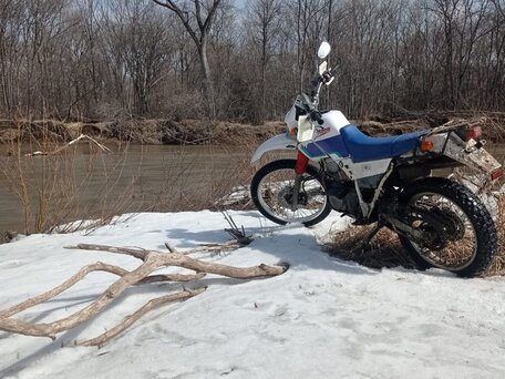 1993 Yamaha XT225 Serow, белый, 150000 рублей, вид 3