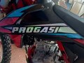 2023 Progasi Gaudi 300, красный, 230000 рублей - вид 2