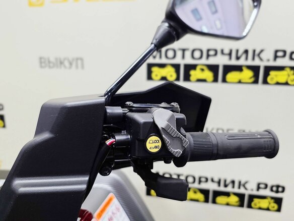 2026 Stels ATV-800 Guepard Trophy, чёрный - вид 19