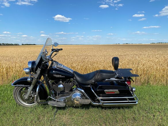2002 Harley-Davidson Road King, серый, 750000 рублей - вид 12