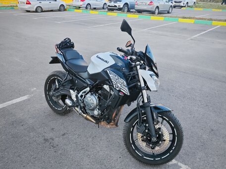 2019 Kawasaki Z 650, белый, 559000 рублей, вид 5