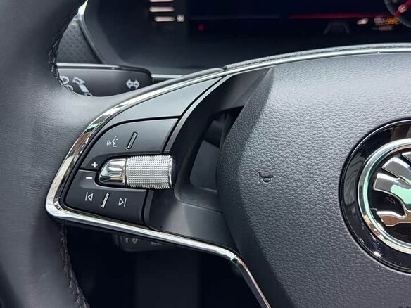2023 Skoda Octavia IV (A8), коричневый - вид 10
