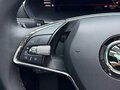 2023 Skoda Octavia IV (A8), коричневый - вид 10