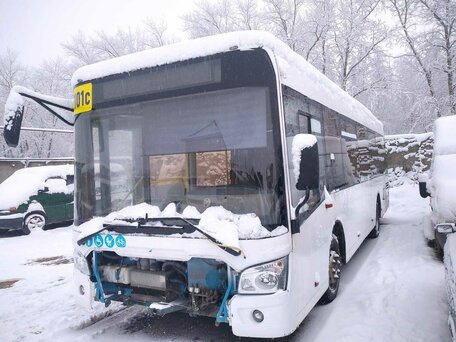 2016 ЛиАЗ 4292, белый, 620000 рублей, вид 4