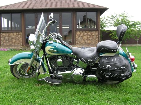 2009 Harley-Davidson Heritage, зелёный, 896882 рублей, вид 1