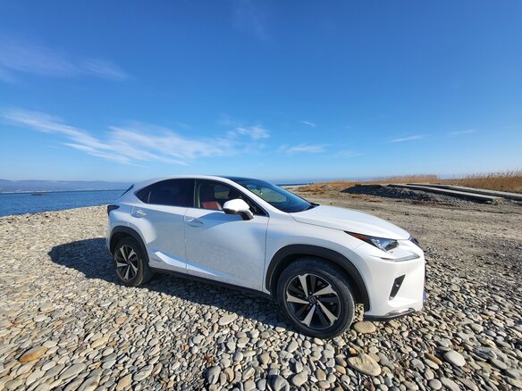 2020 Lexus NX 300h I Рестайлинг, белый, 3950000 рублей - вид 14