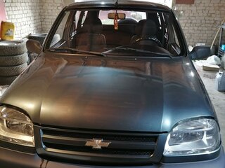 2007 Chevrolet Niva I, зелёный, 530000 рублей, вид 1