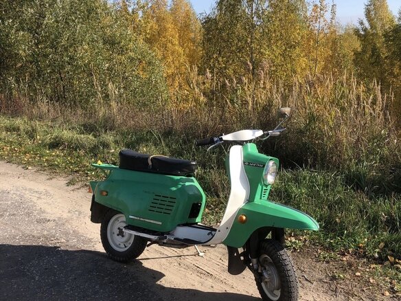 1979 ВПМЗ Электрон, зелёный, 150000 рублей - вид 2