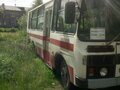 1993 ПАЗ 3205, белый, 66000 рублей