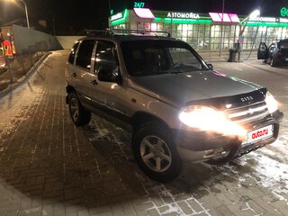 2007 Chevrolet Niva I, серый, 270000 рублей, вид 4