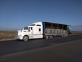 2008 Kenworth T660, белый, 2400000 рублей - вид 2