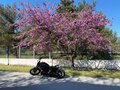 1997 Yamaha XVS400 Drag Star, чёрный, 600000 рублей - вид 5