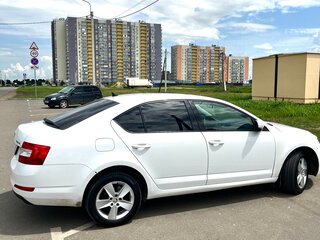 2013 Skoda Octavia III (A7), белый, 975000 рублей, вид 4