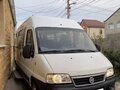 2010 Fiat Professional Ducato, белый, 650000 рублей - вид 1
