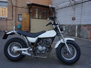 2002 Suzuki RV 200 VanVan, белый, 265000 рублей, вид 2
