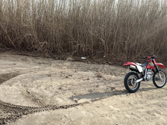 2002 Honda XR 250, красный, 350000 рублей - вид 12