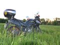 2009 Suzuki V-Strom DL 650, чёрный - вид 4