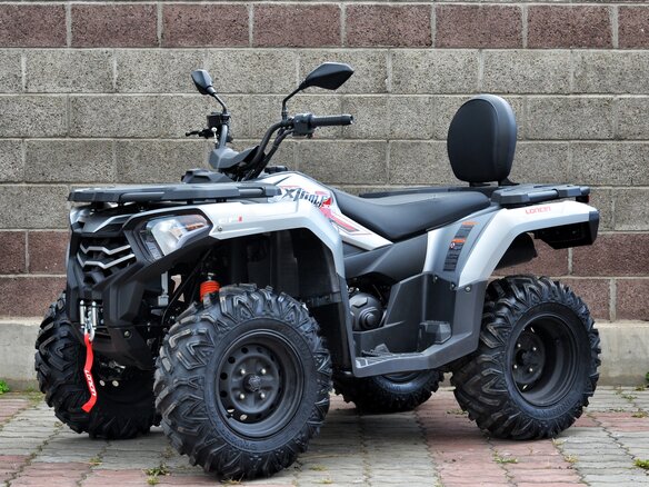 2026 Loncin XWolf 300, серый, 485000 рублей - вид 2