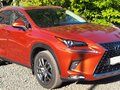2019 Lexus NX 300 I Рестайлинг, оранжевый, 4900000 рублей - вид 5