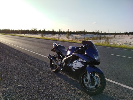 1999 Honda CBR 600F, синий, 320000 рублей, вид 2