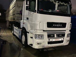 2016 КамАЗ 5490 NEO, белый, 5000000 рублей, вид 2
