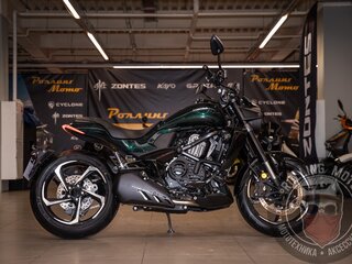 2025 Zontes ZT350-S, зелёный, 499990 рублей, вид 5