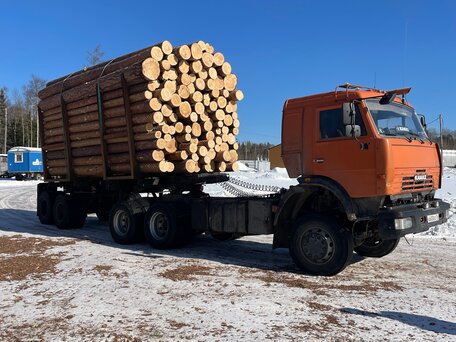 2008 КамАЗ 44108, оранжевый, 1750000 рублей, вид 5