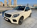 2016 Mercedes-Benz GLE AMG 43 AMG I (W166), белый